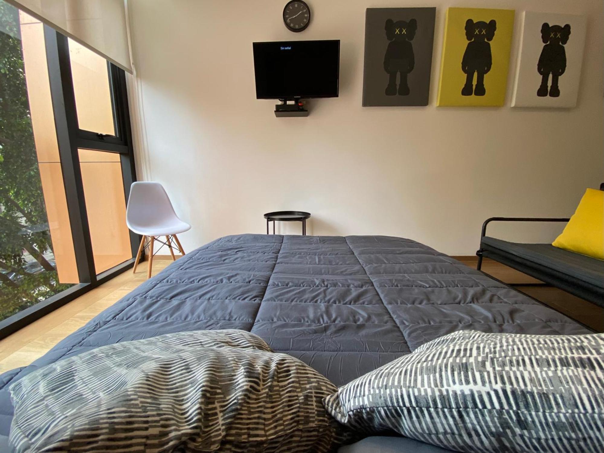 Cozy Roma Condesa Apartment Mexico City