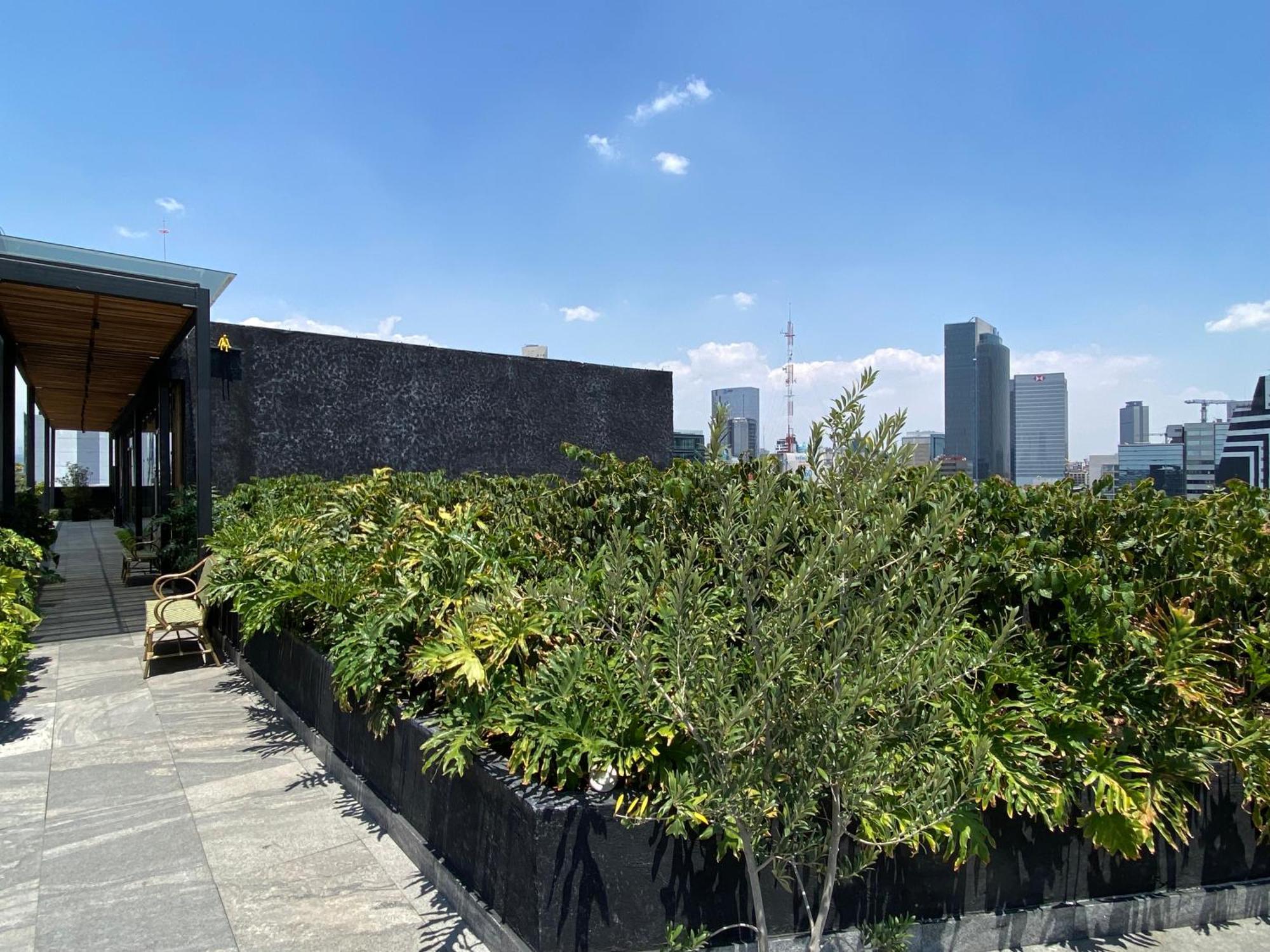 Cozy Roma Condesa Apartment *